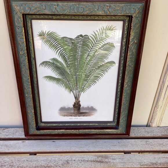 Framed Botanical Print Illustration 22'" x 17.5" - Picture 8 of 8